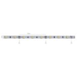 C65FER024 Cinta Led por 5 Metro 24W 12V – 60 Led m FERVICOM 05 jpg